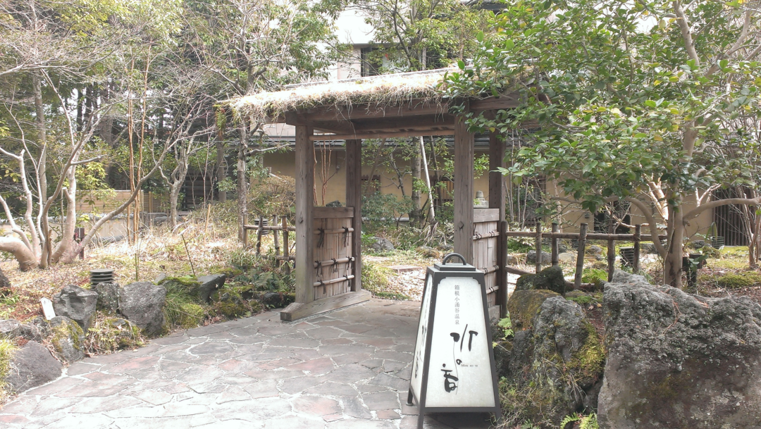 Image1