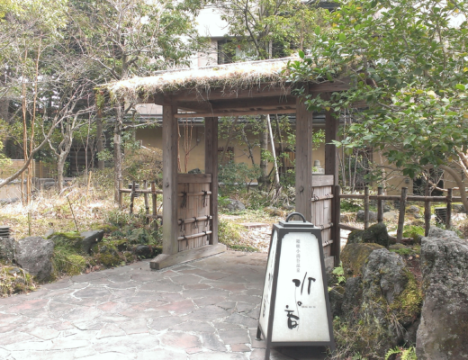 Image1